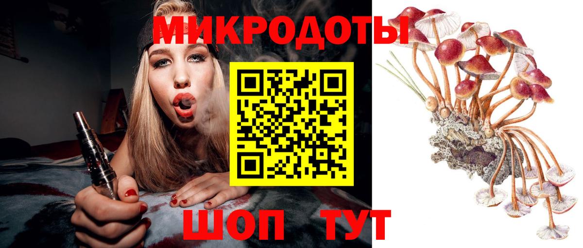 Махачкала  Галлюциногенные грибы Magic Shrooms  Вход с VPN 